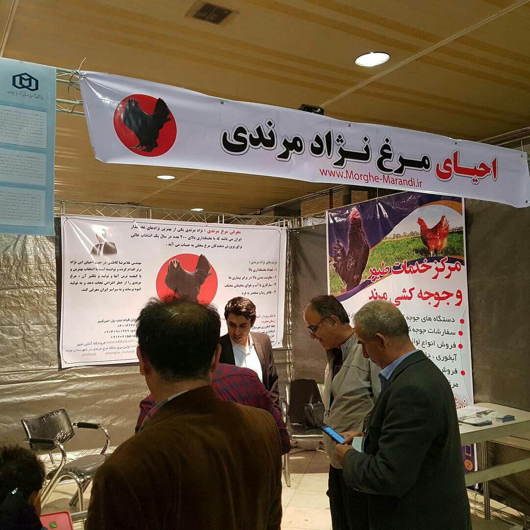 شرکت مرغ مرندی در نمایشگاه فناوری ربع رشیدی در محل نمایشگاه بین المللی تبریز